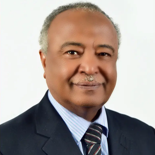 Prof. Mekki Medani El Shibly